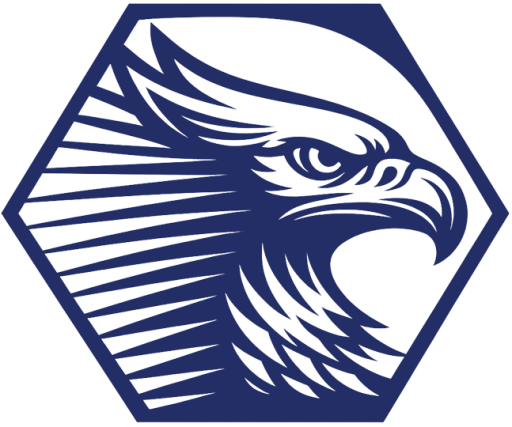 charter_meridian_cyber_security_logo_blue_transparent